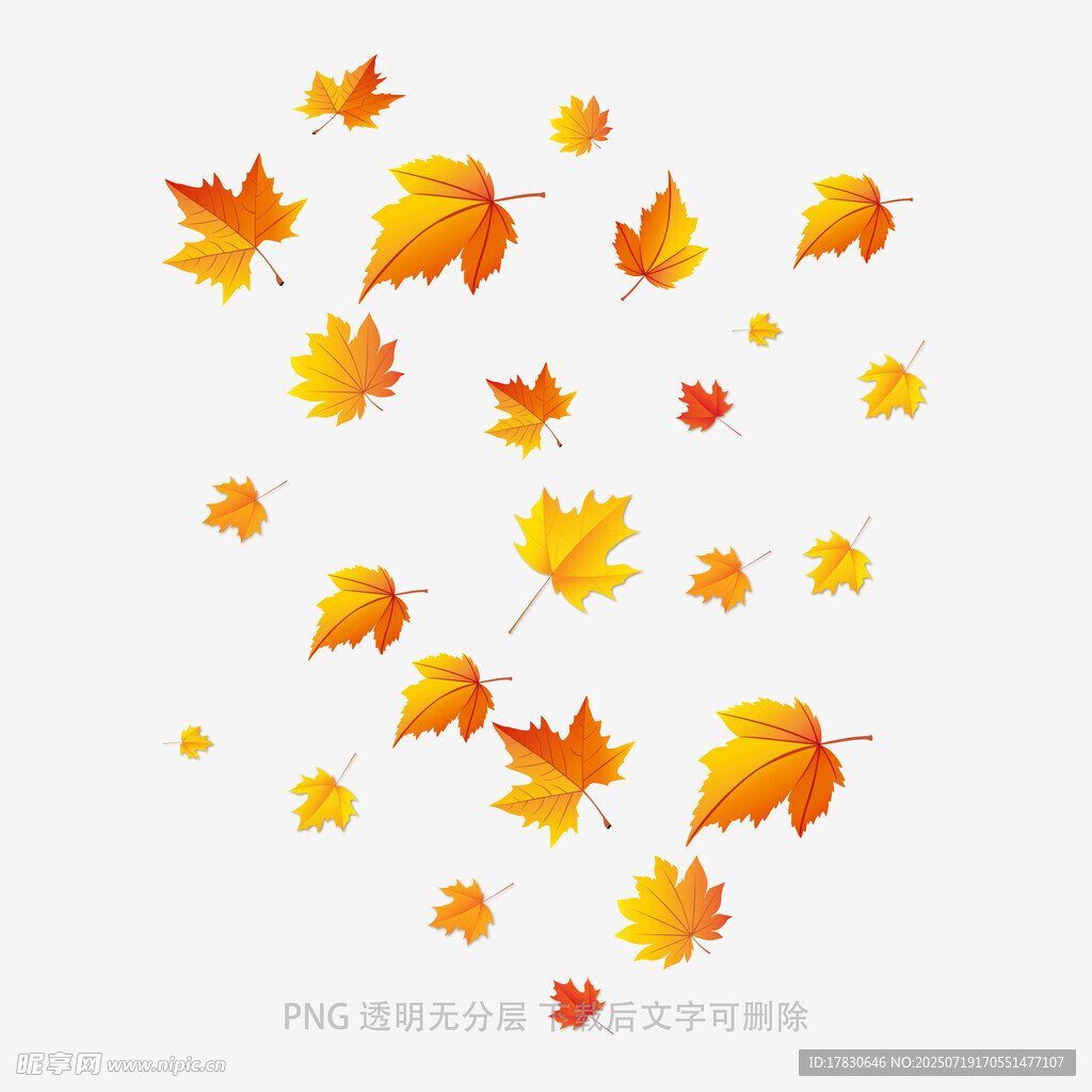 飘落的多彩枫叶