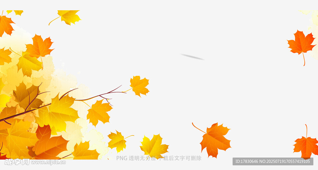 秋日枫叶飘落美景