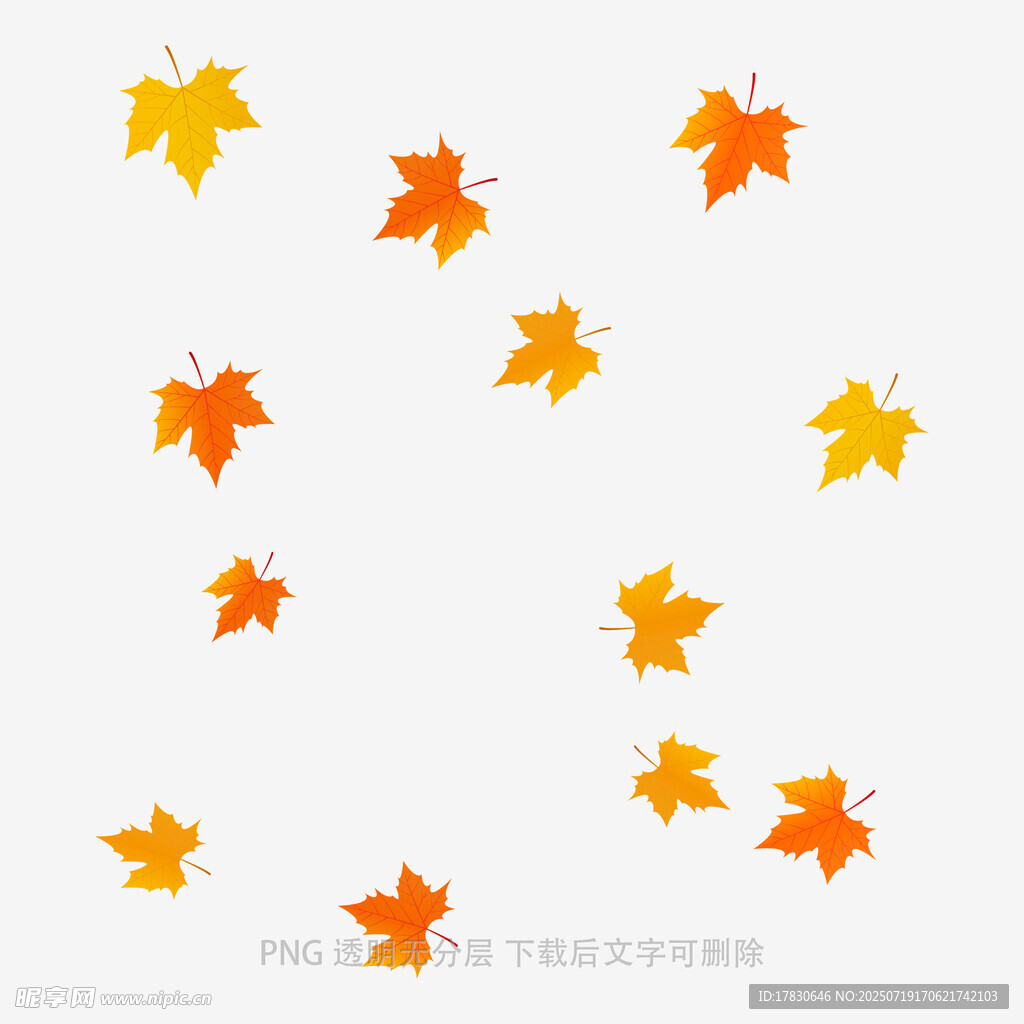 秋日枫叶图案