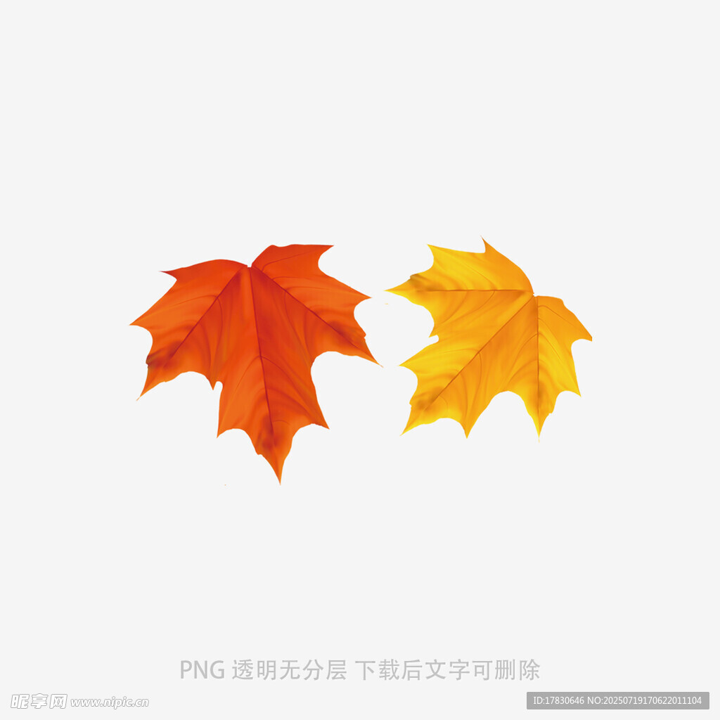 两片秋叶