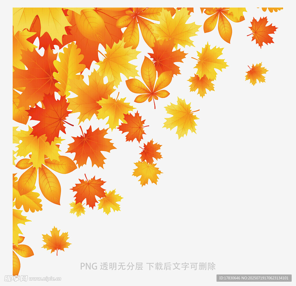 秋季枫叶装饰背景图