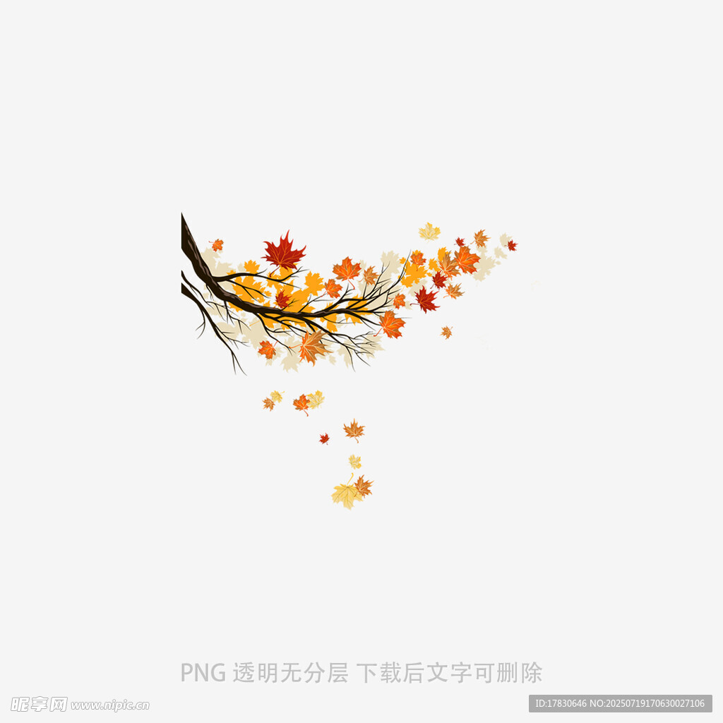 秋日枝头落叶飞舞景象
