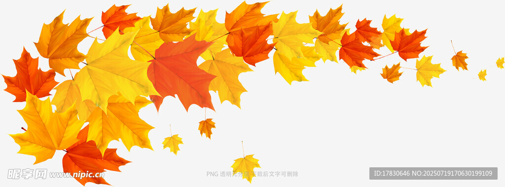 秋季纷飞枫叶背景图