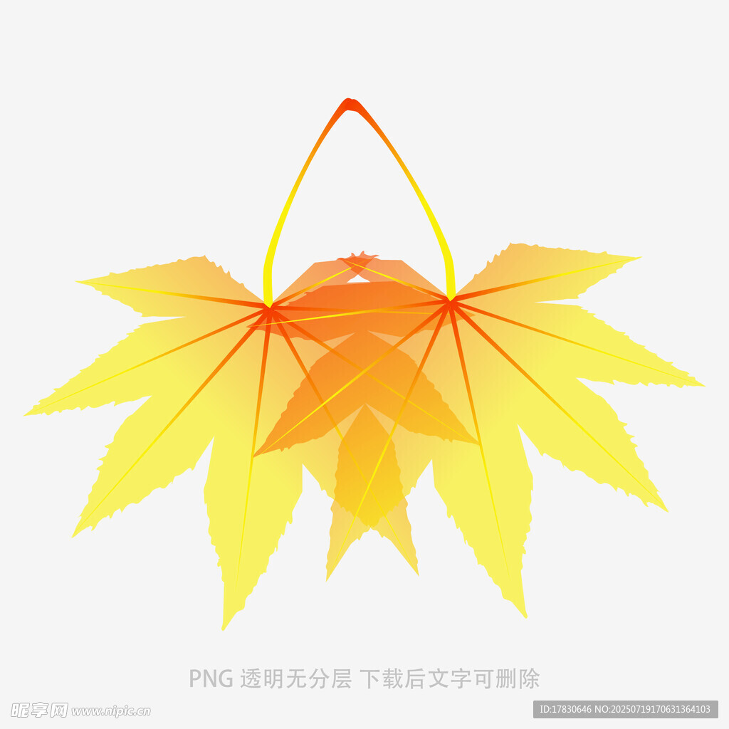 双片金黄枫叶矢量插画