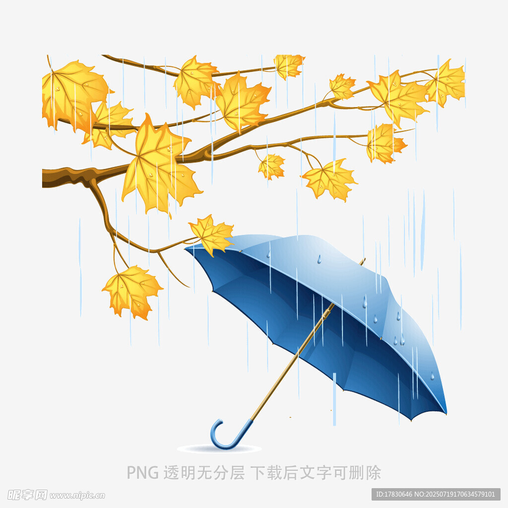 雨中蓝伞与金黄花枝
