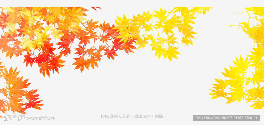 秋季枫叶装饰背景图