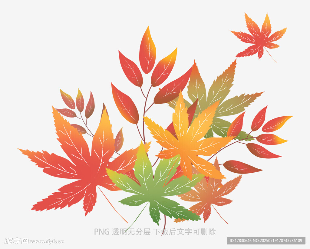 多彩秋叶插画
