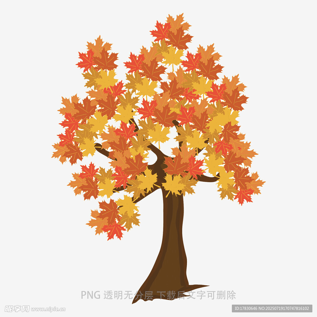 秋季枫叶树插画