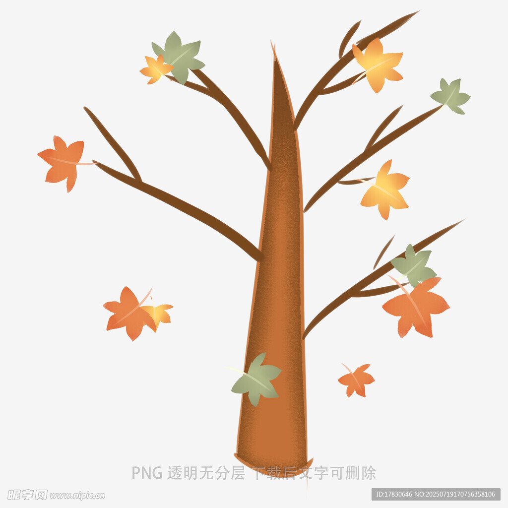 秋日树干与多彩落叶
