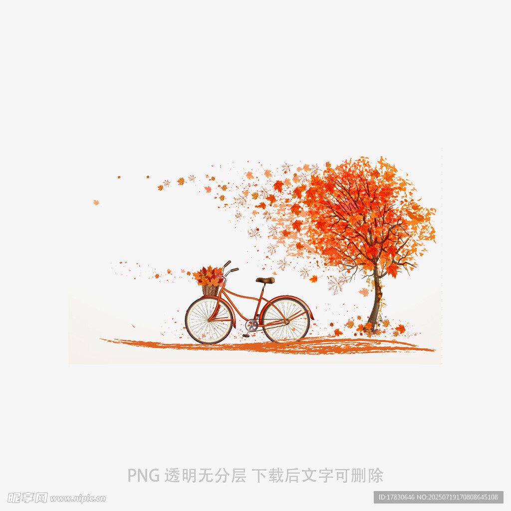 秋日树下的单车与落叶