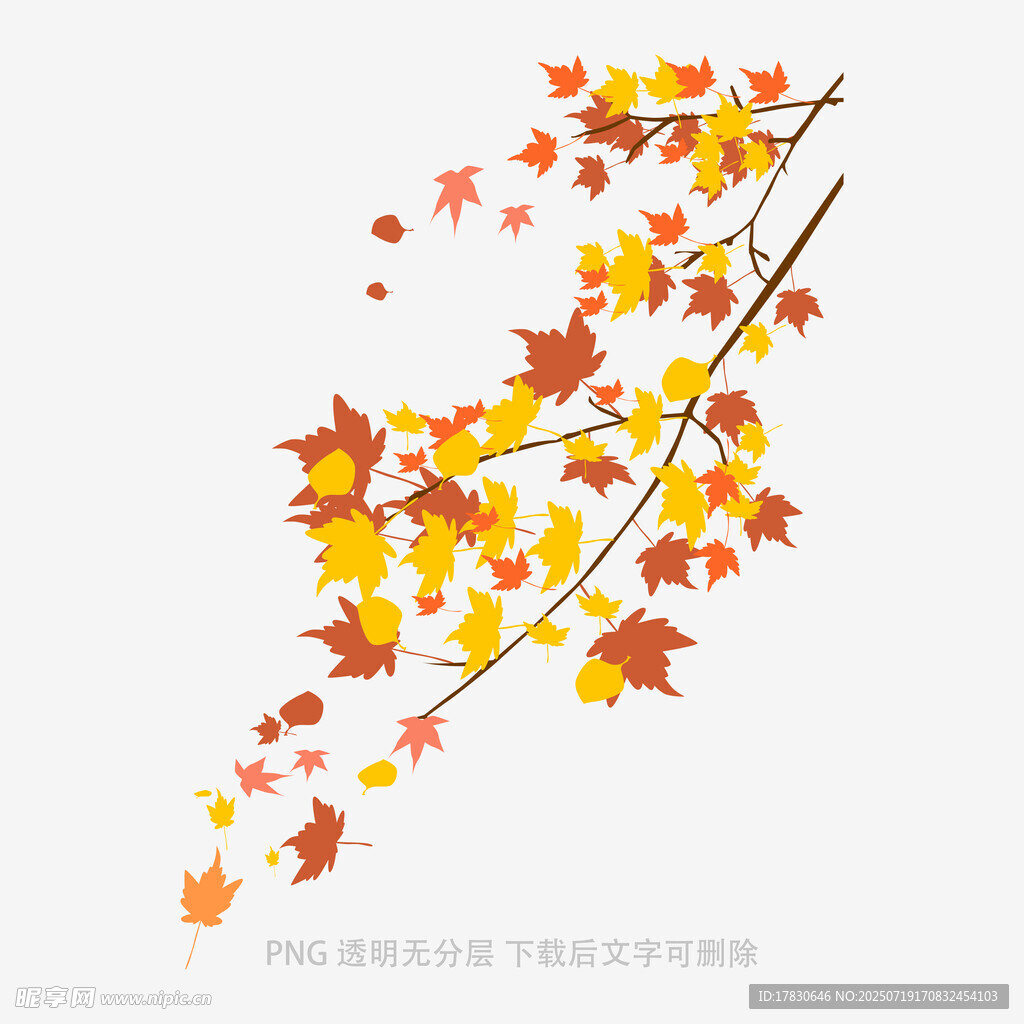 秋日枫叶树枝插画