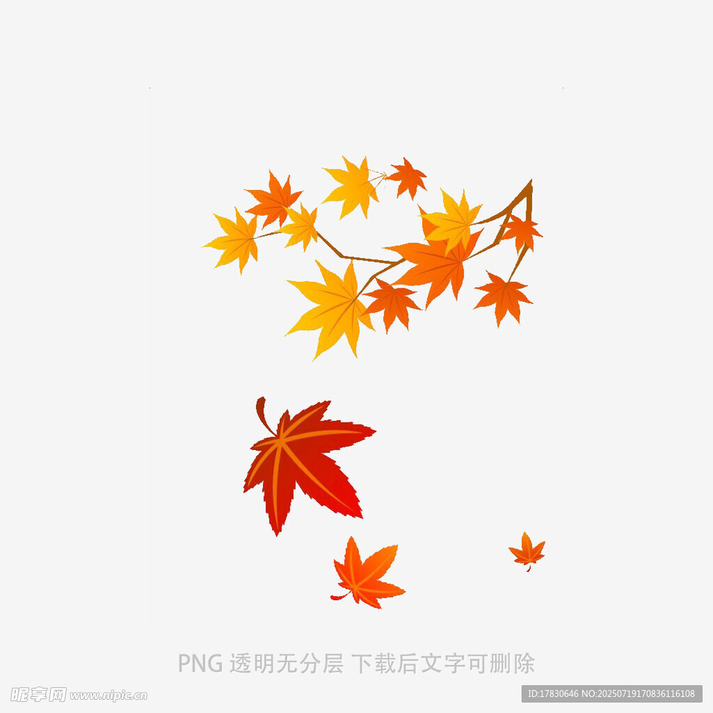 秋日枫叶飘落插画