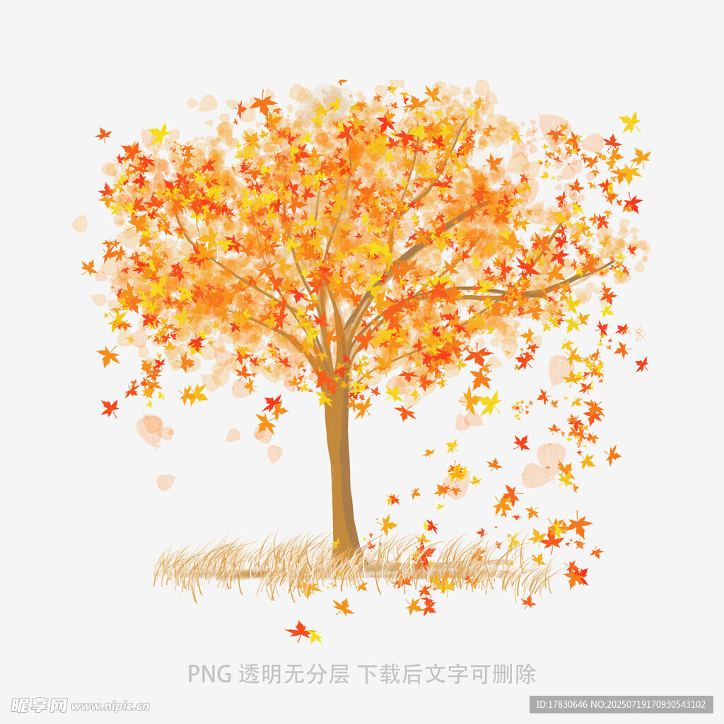 秋日落叶树插画