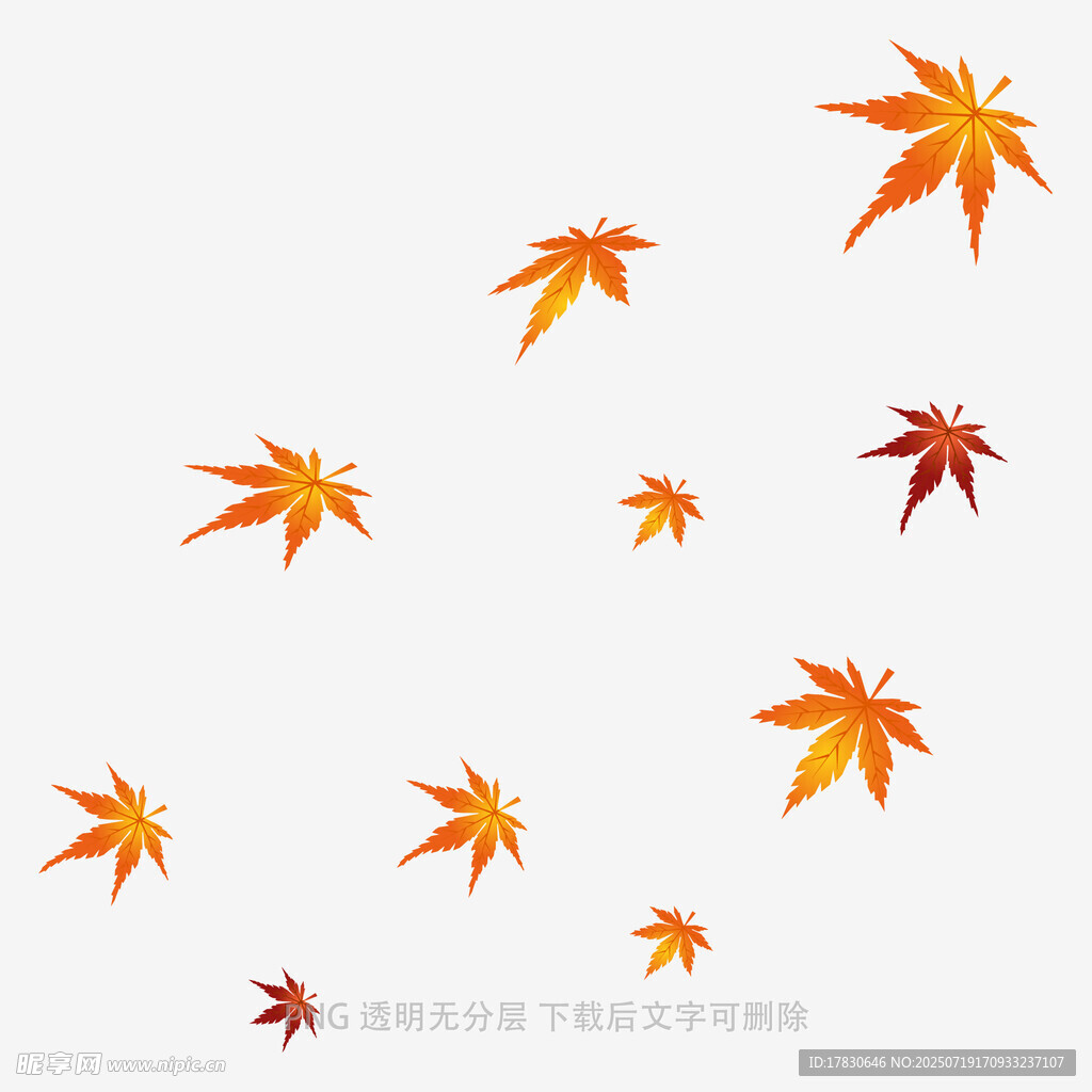 飘落的多彩枫叶