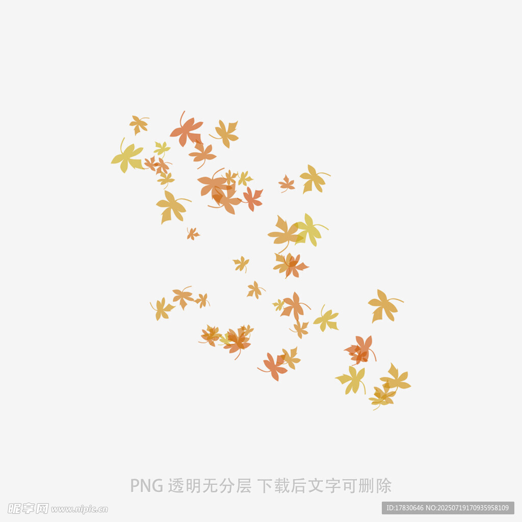 飘落的多彩枫叶