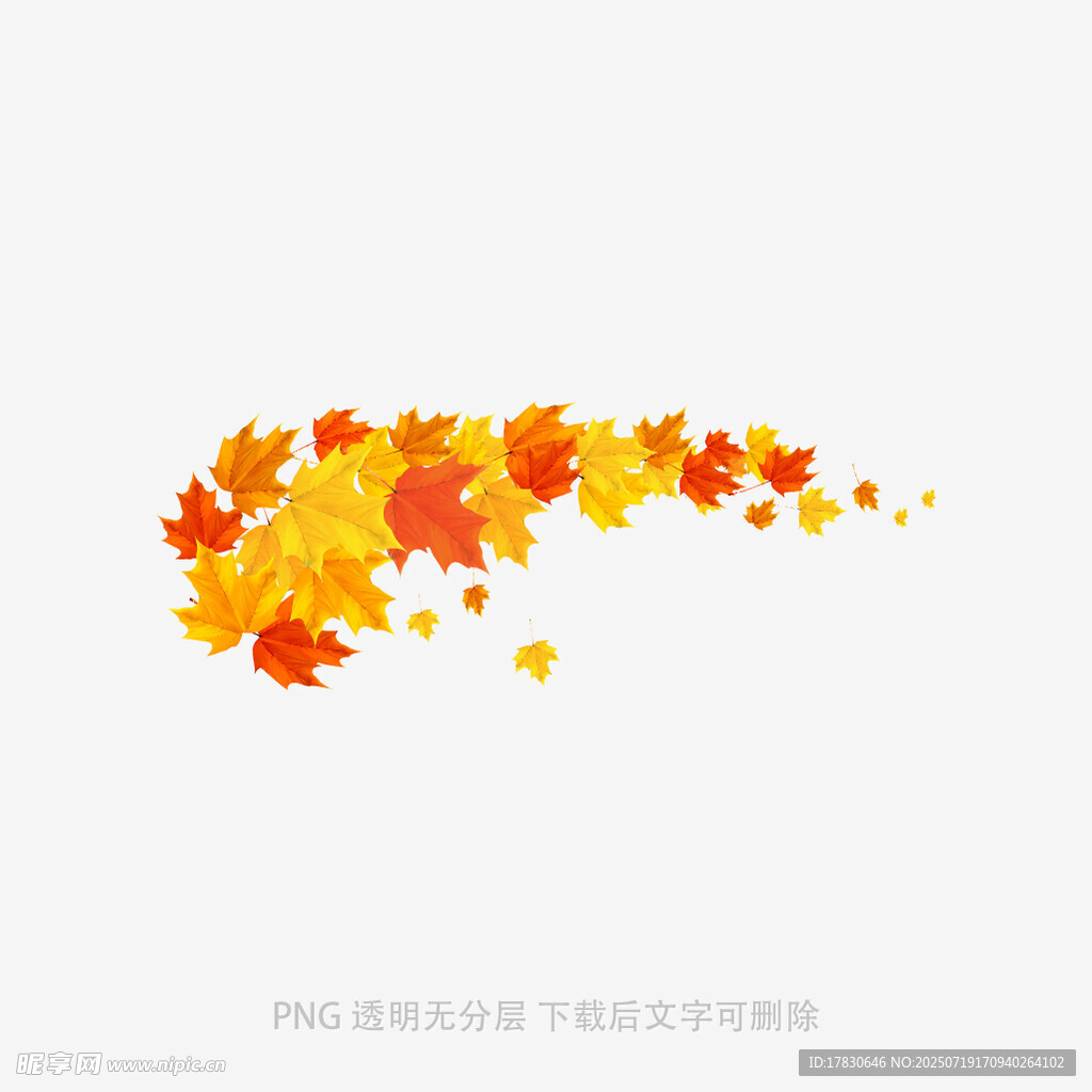 秋日枫叶飘飞图案