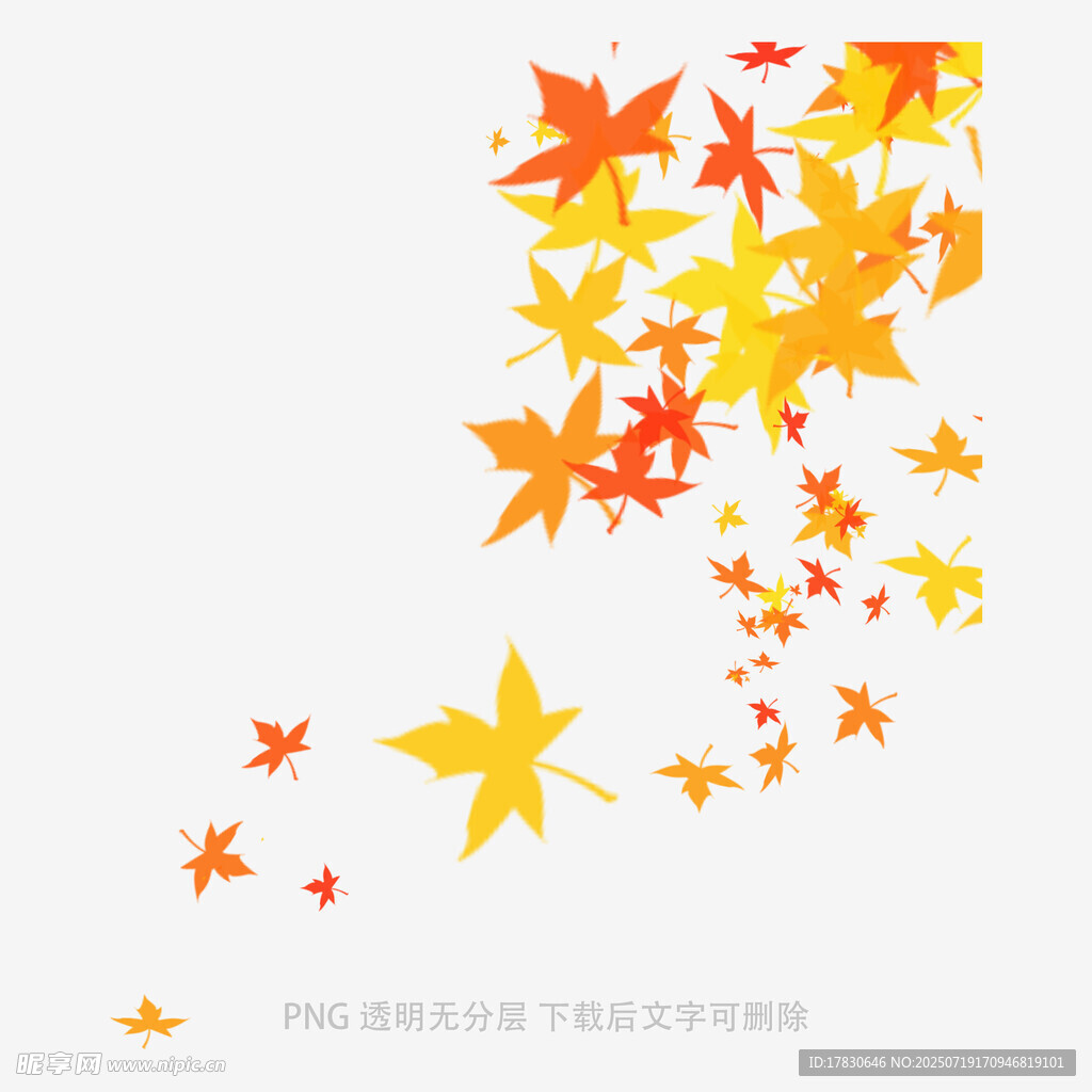 飘落的多彩枫叶