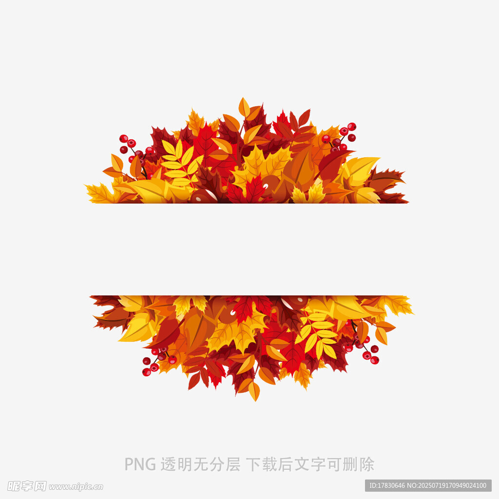 秋季多彩树叶装饰图案