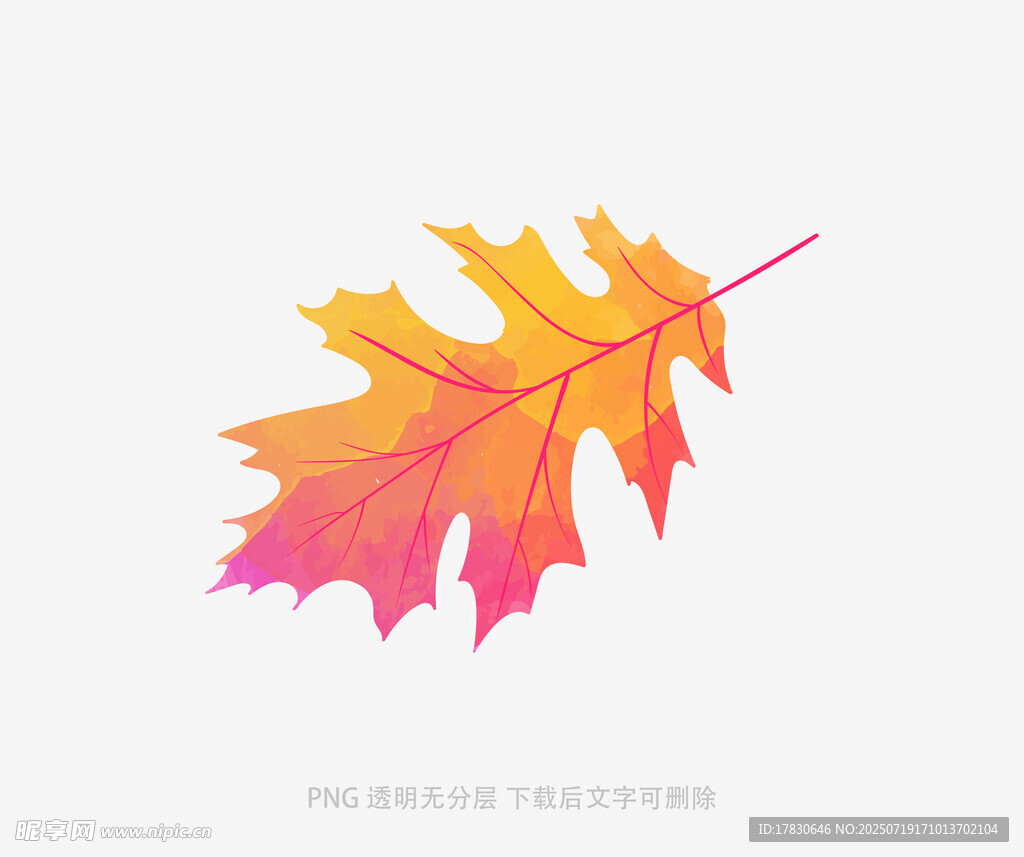 多彩秋叶插画