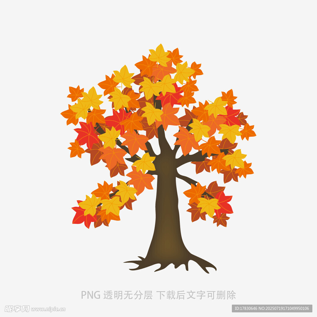 秋季枫叶树插画