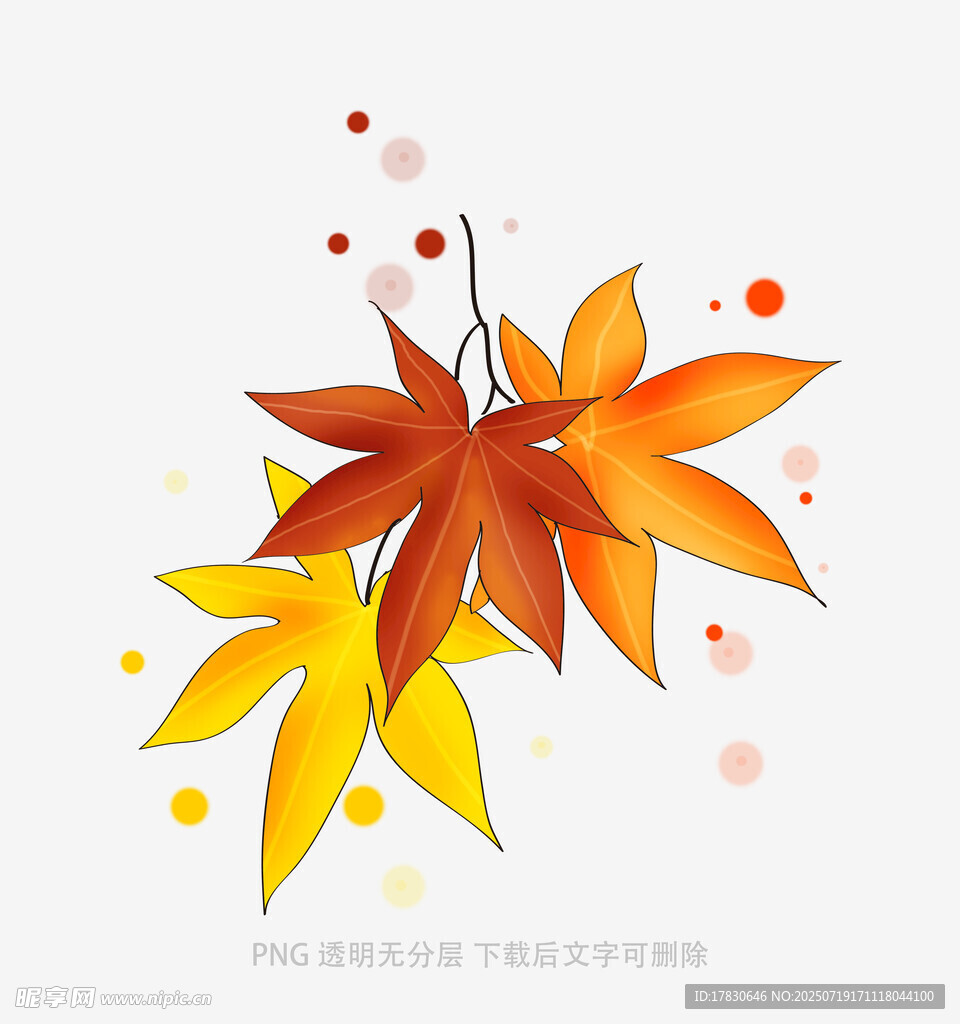 秋日枫叶插画