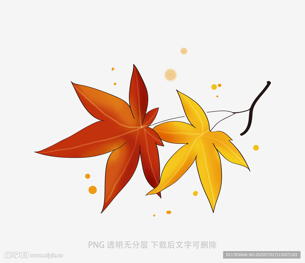 秋日双枫叶插画
