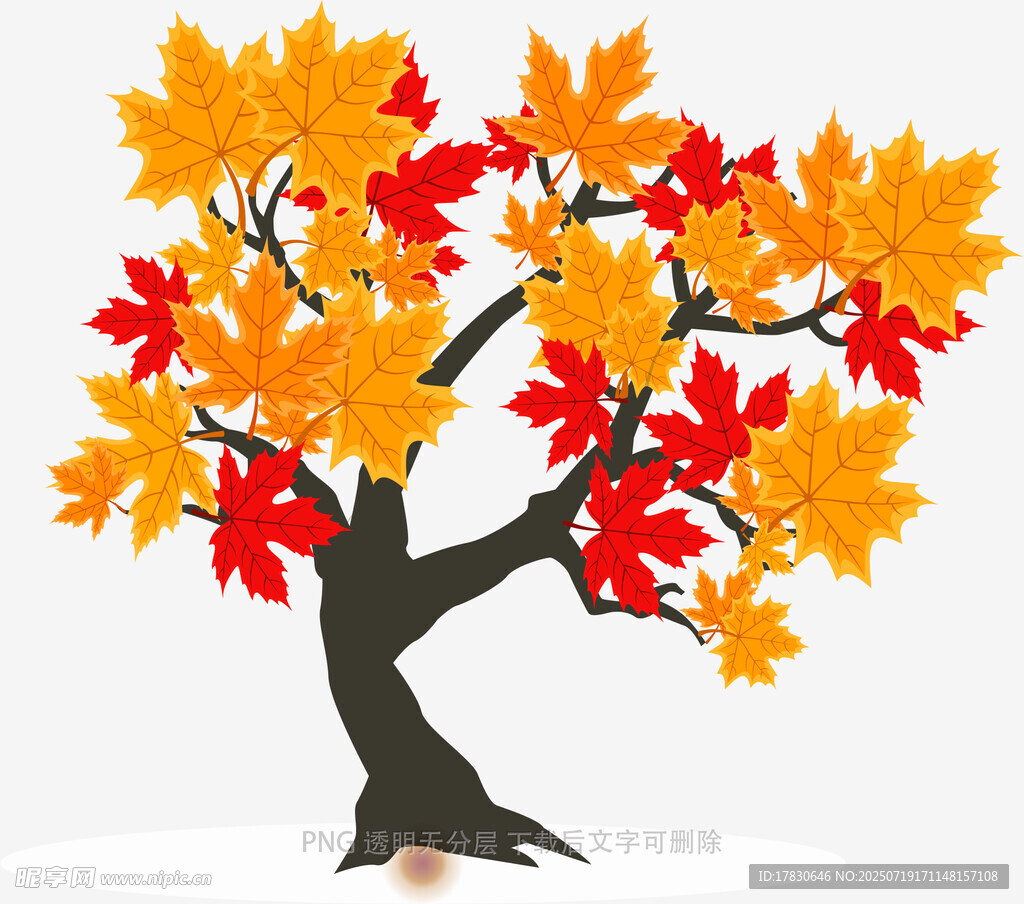 秋季多彩枫树插画