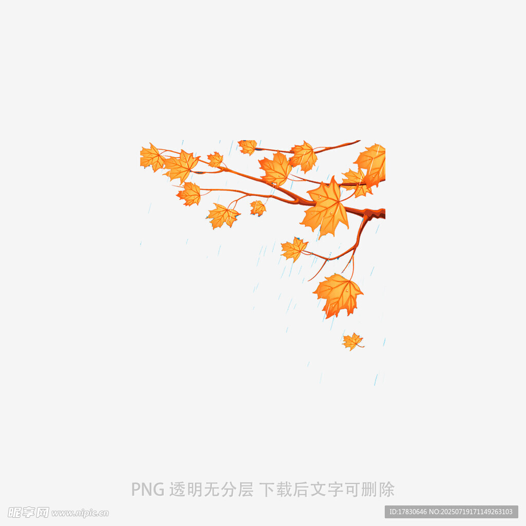 橙色花枝插画
