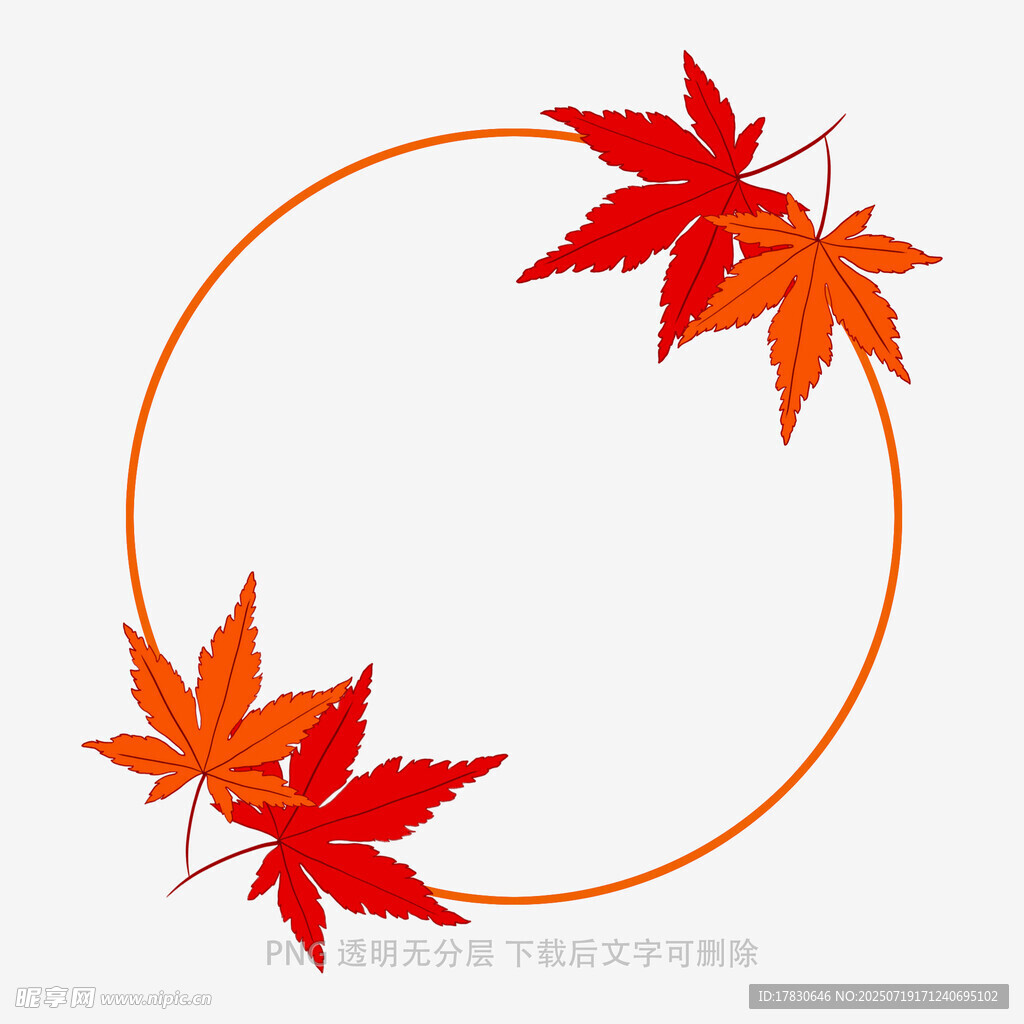 圆形边框中的艳丽红枫叶