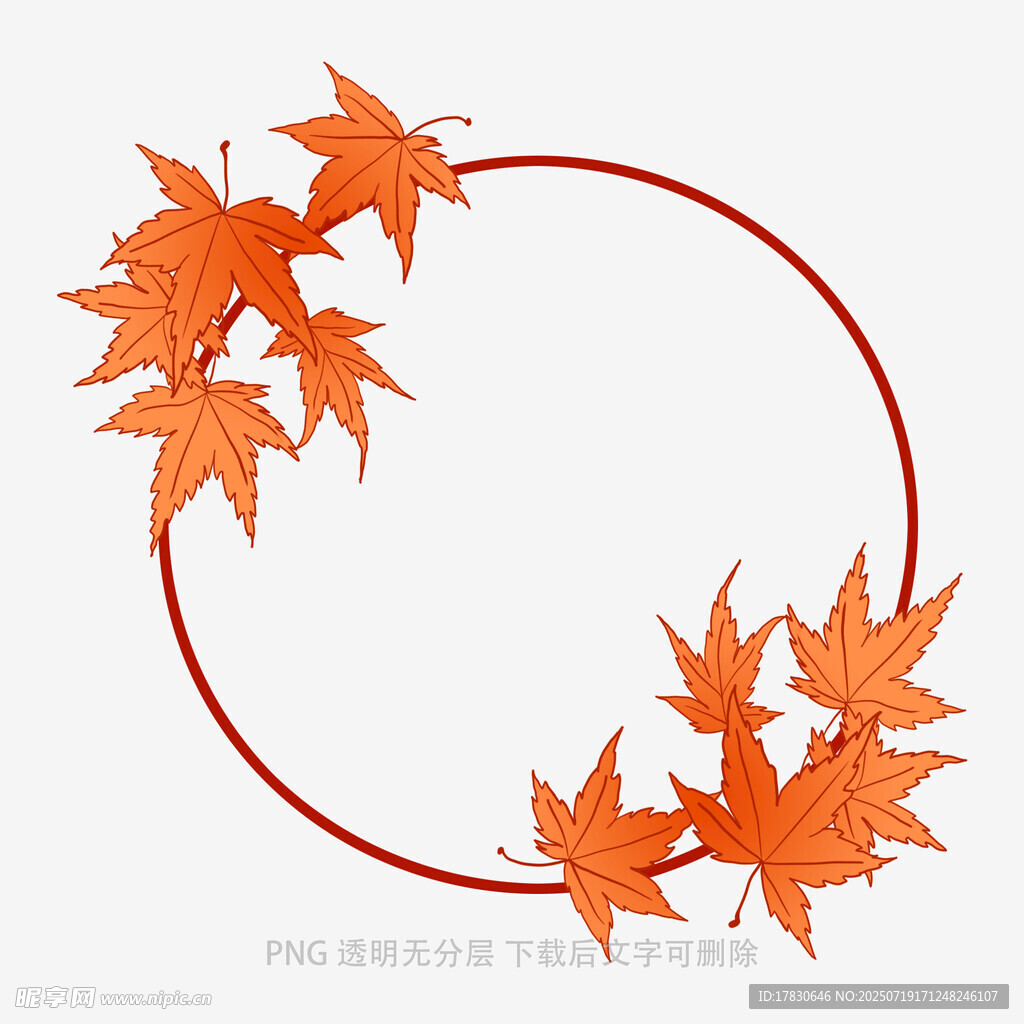 圆形框中的橙红色枫叶
