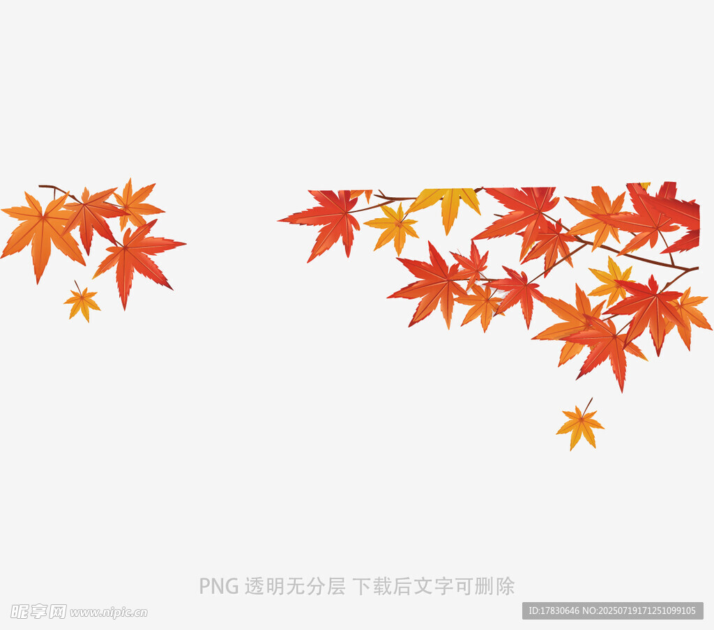 秋日枫叶装饰图案