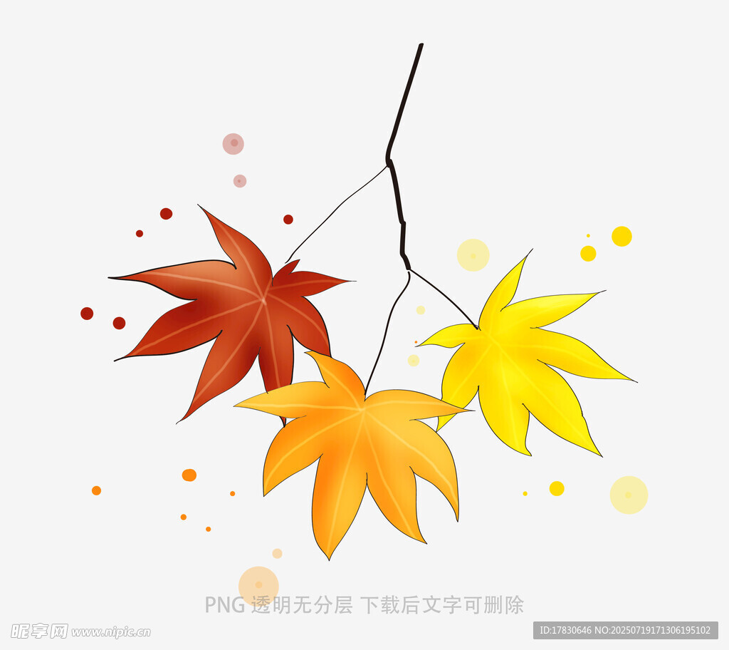 秋日枫叶插画