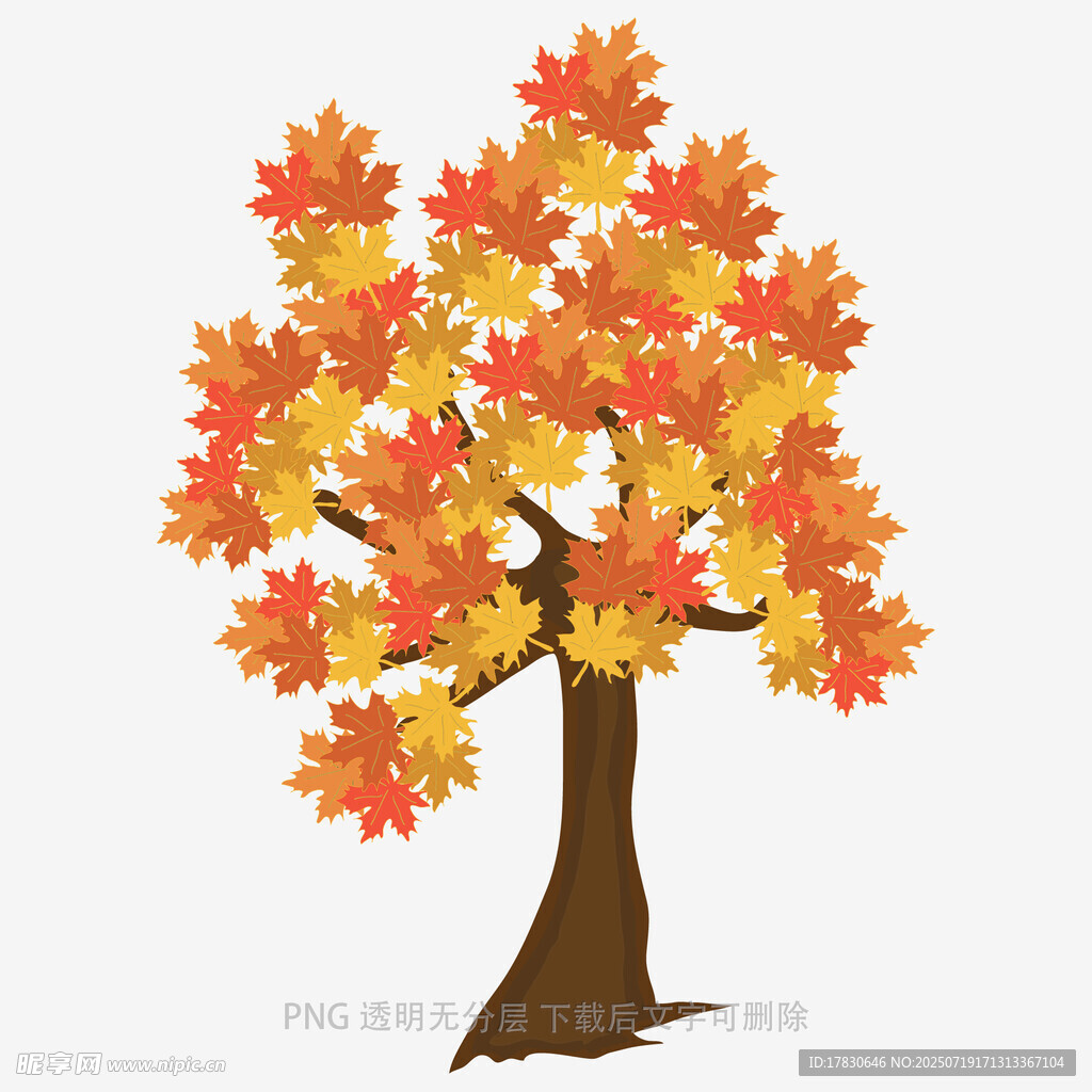 秋日枫叶树插画