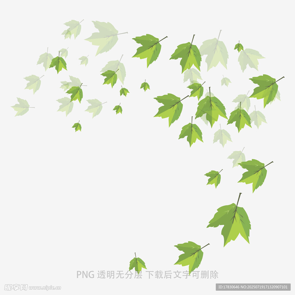 飘落的绿色枫叶元素图