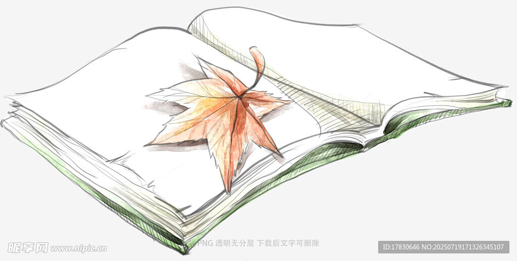 书页上的枫叶艺术插画