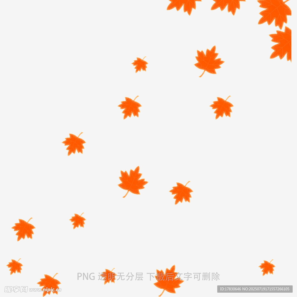 飘落的橙色枫叶背景图