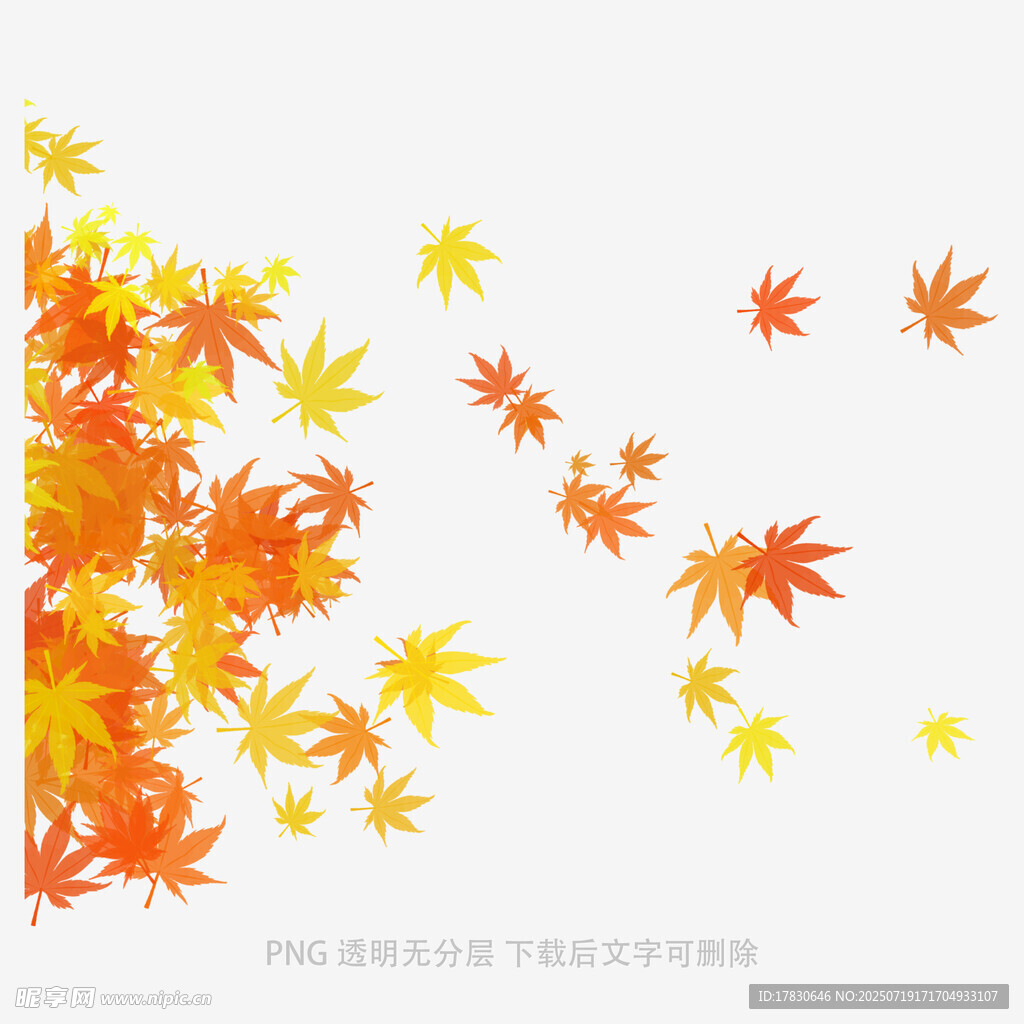 秋日枫叶纷飞美景