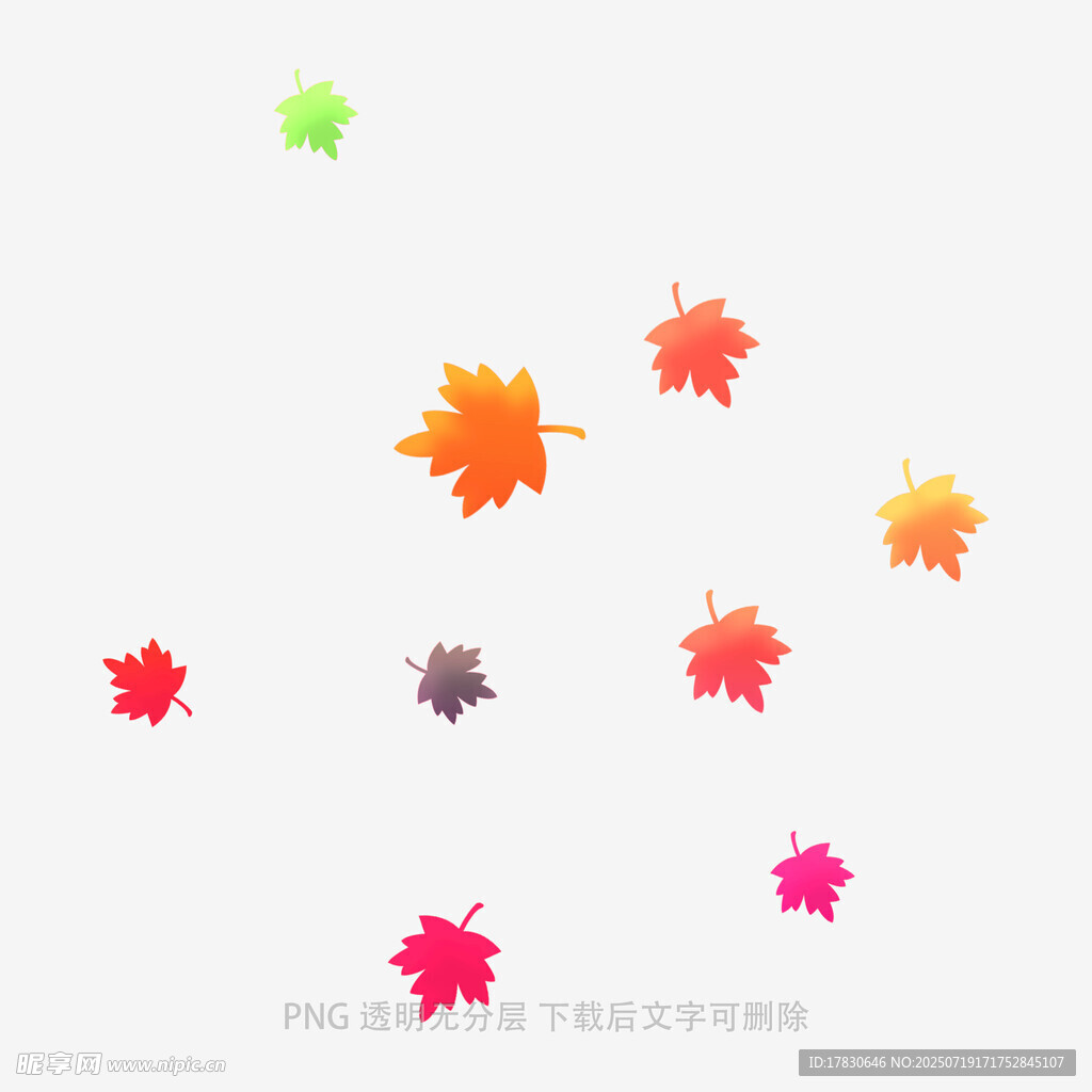 飘落的多彩枫叶
