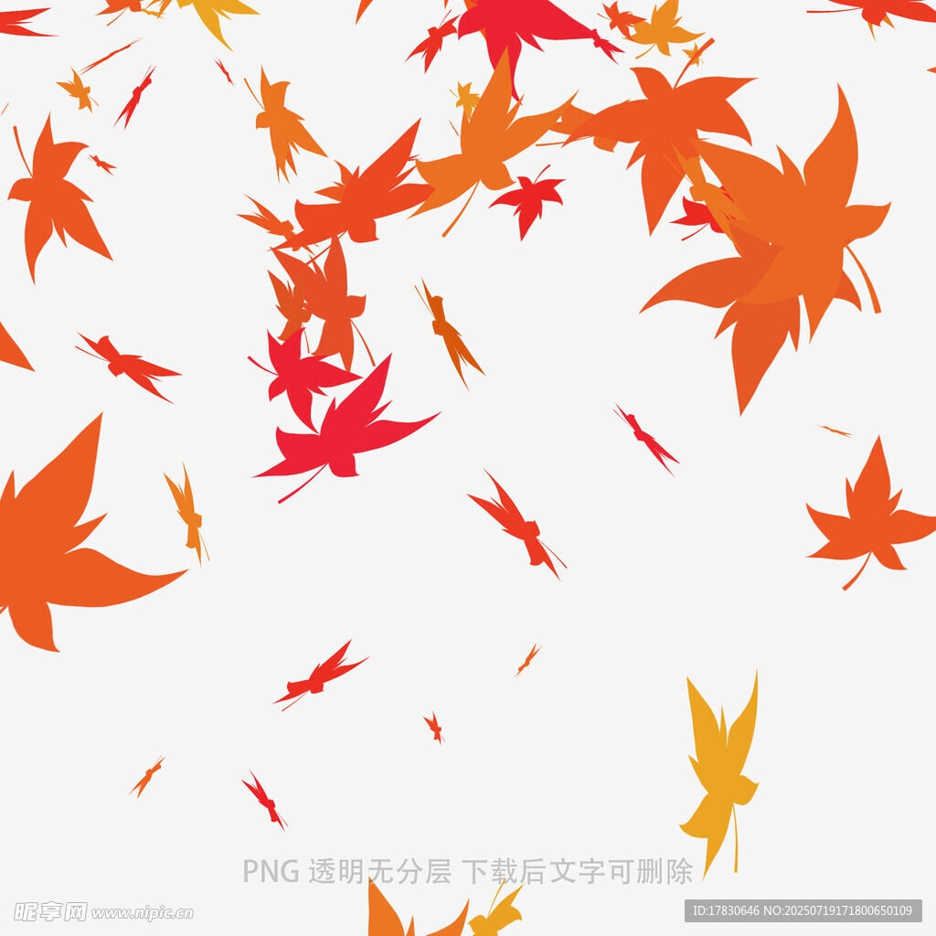 飘落的多彩枫叶