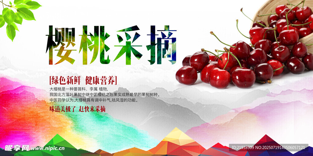 樱桃海报