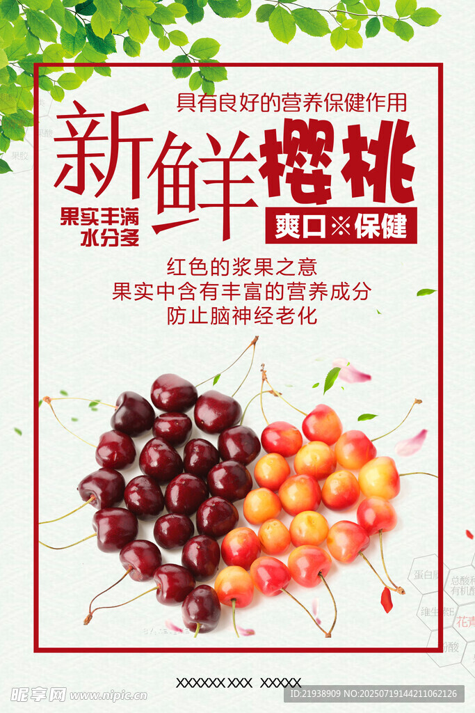 樱桃海报