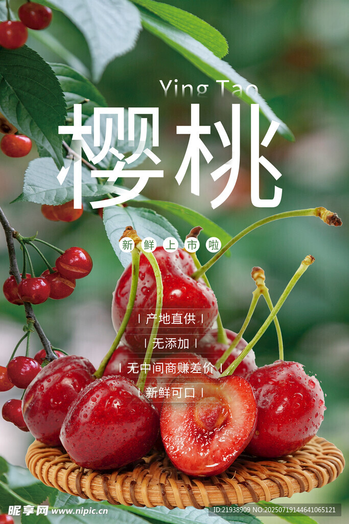 樱桃海报