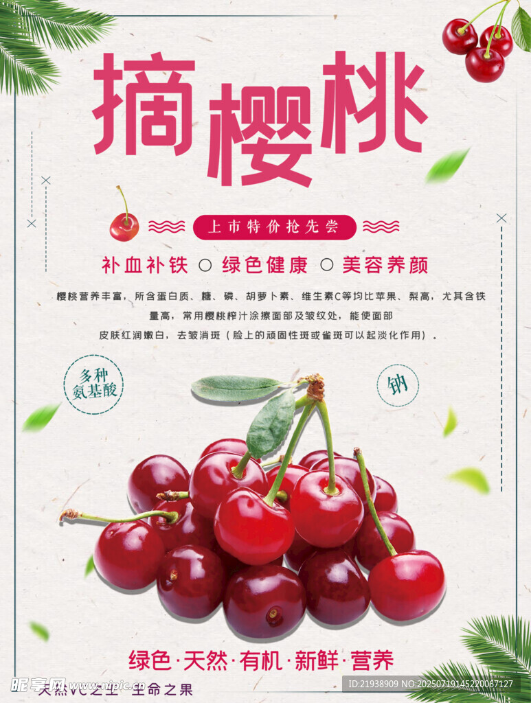 樱桃海报