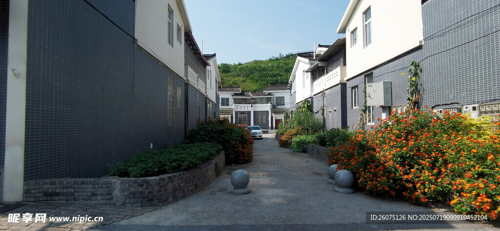 宁静小巷的多彩植物景观