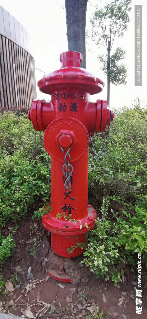 红色消防栓立于绿植旁