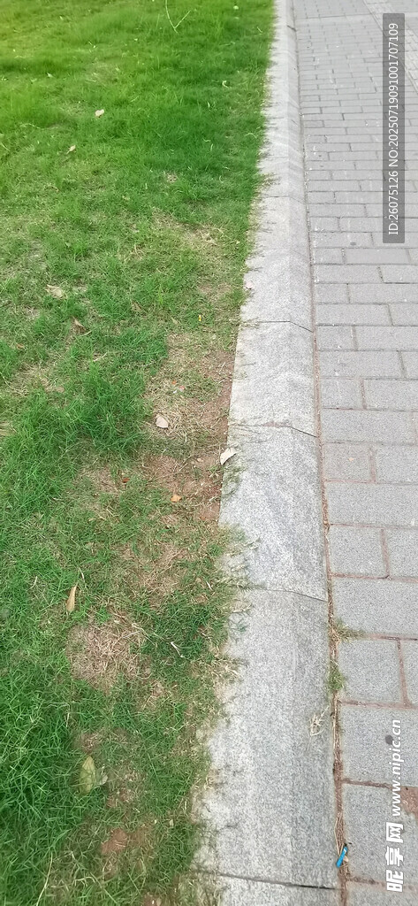 路边草地与砖石小径