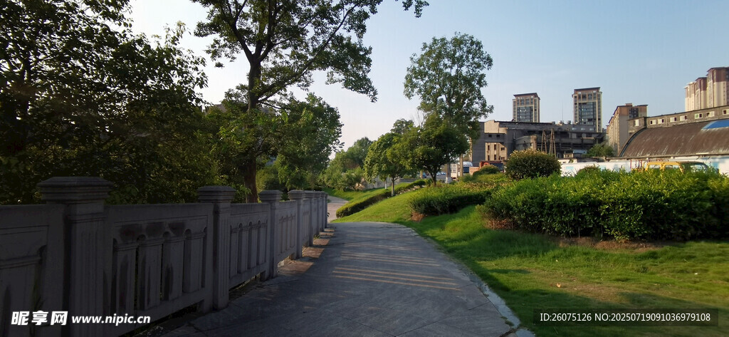城市中的宁静林荫步道