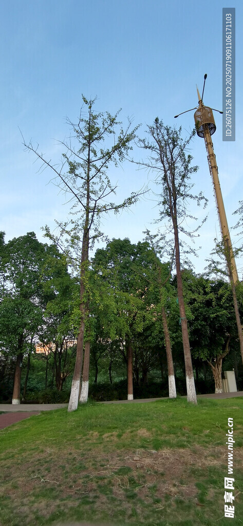 户外木质高杆景观