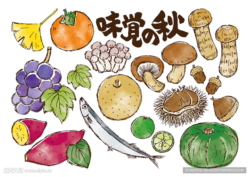 秋日缤纷果蔬插画