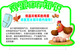 鸡蛋储存知识牌